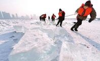 哈尔滨冰雕的冰采自哪里